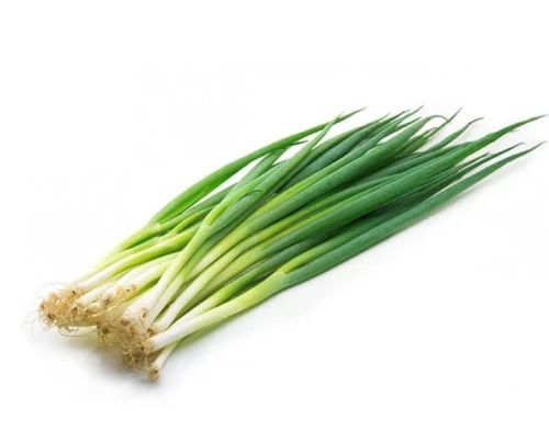 CEBOLLA